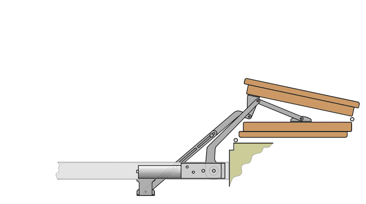 Animazione S/A a libro